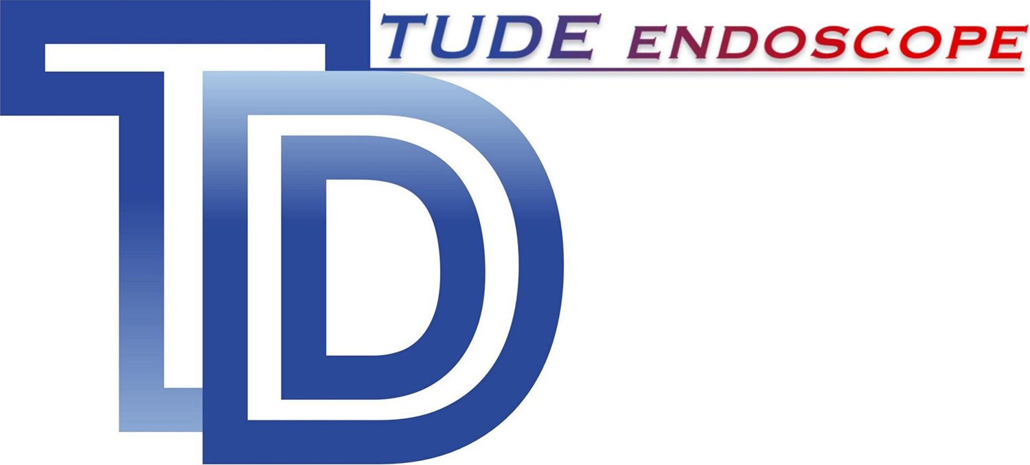 Tude Endoscope